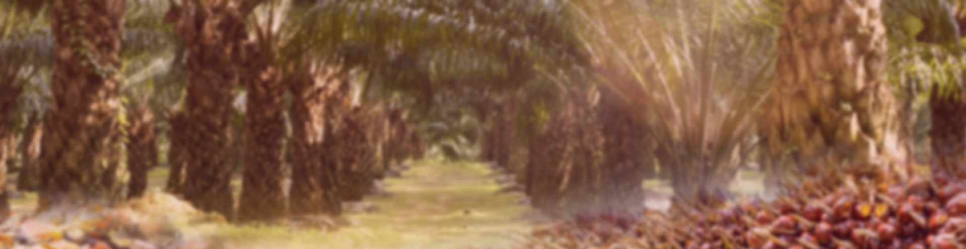 บริษัท ปาโก้เทรดดิ้ง จำกัด